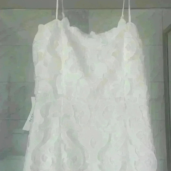 BARDOT- NWT Lina Lace Sheath Dress
Sz US Small/ 6 Color Ivory - Picture 5 of 11